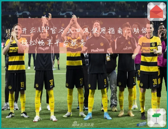 开云APP官方入口及使用指南，助你轻松畅享平台服务