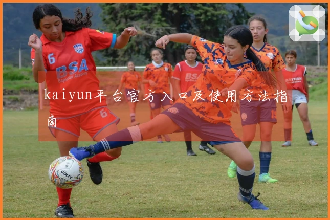 kaiyun平台官方入口及使用方法指南